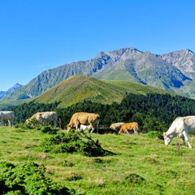 Conception et développement du site internet de l'Office de Tourisme Tourmalet Pic du Midi